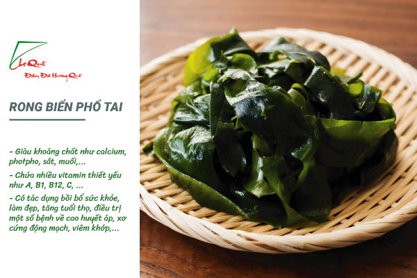 SALAD MỰC PHỔ TAI LẠ MIỆNG, HẤP DẪN