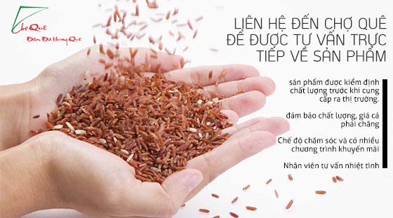 Gạo lứt đỏ Điện Biên