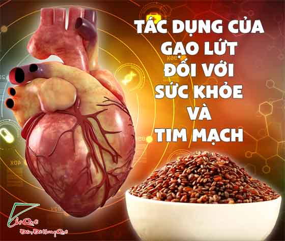 Gạo lứt với sức khỏe và tim mạch