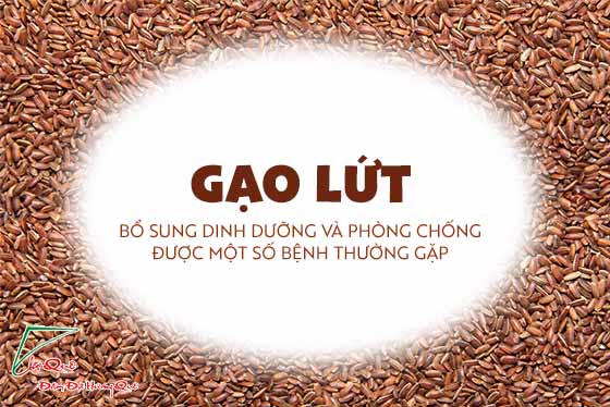 Gạo lứt với sức khỏe và tim mạch