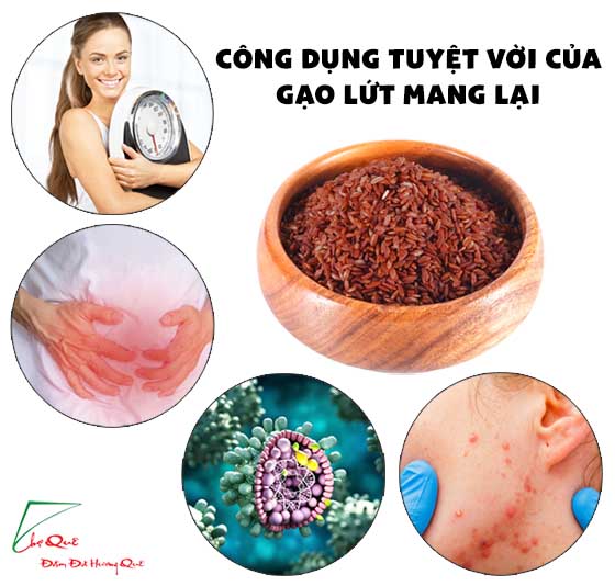 cách nấu cháo gạo lứt đỏ thơm ngon bổ dưỡng