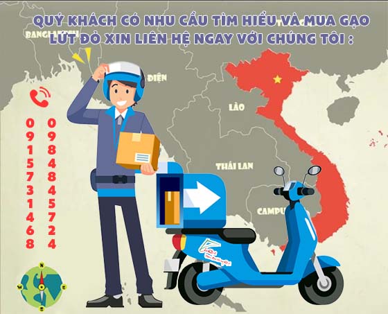 cách nấu cháo gạo lứt đỏ thơm ngon bổ dưỡng