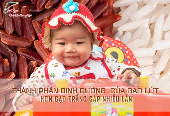 BỘT GẠO LỨT- THỰC PHẨM AN TOÀN CHO BÉ ĂN DẶM