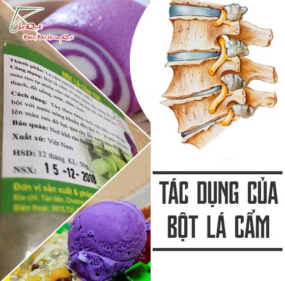 Mua bột lá cẩm tím cẩm đỏ tại nha trang