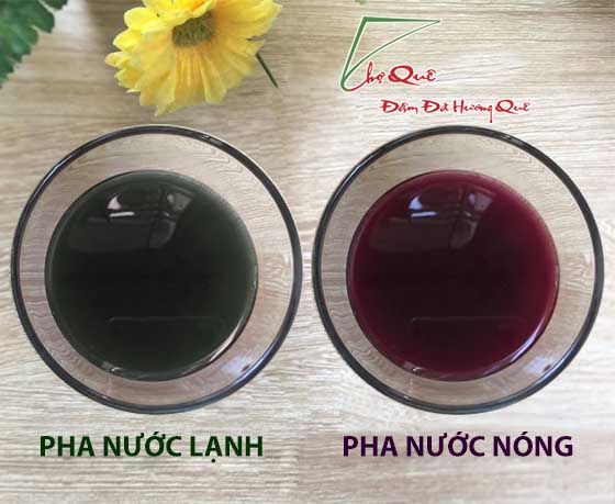   hướng dẫn phân biệt bột lá cẩm thật và giả