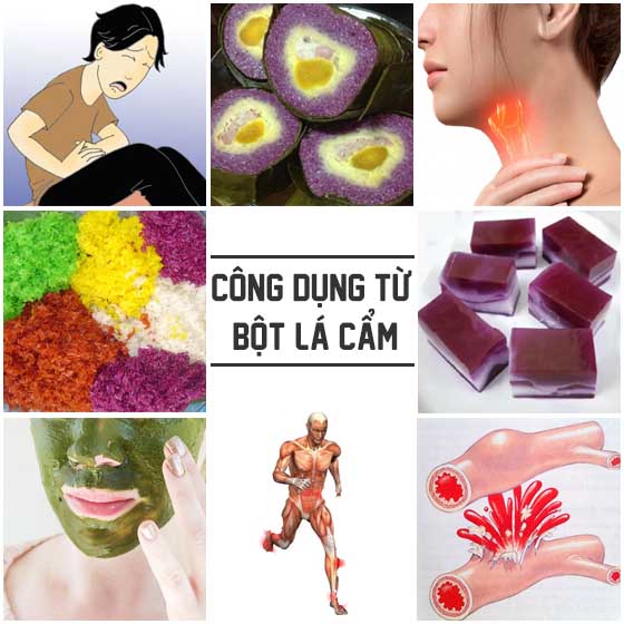 Bột lá cẩm có tác dụng gì