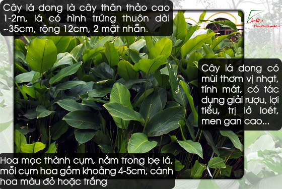 10kg với 15kg -= tiền hả e