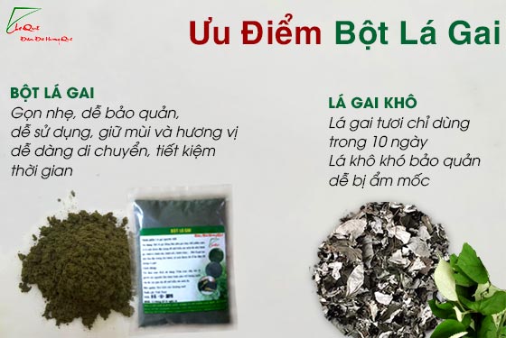 Ưu điểm Bột Lá Gai Nguyên Chất 