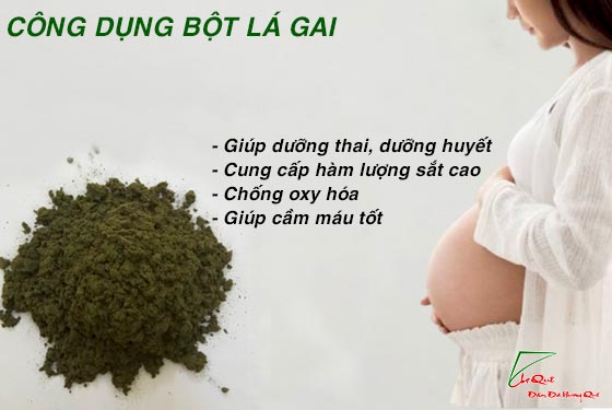 công dụng bột lá gai, củ gai, lá gai khô