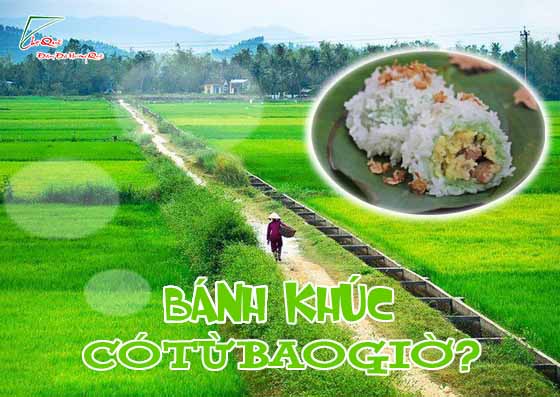 tìm hiểu về bột lá khúc