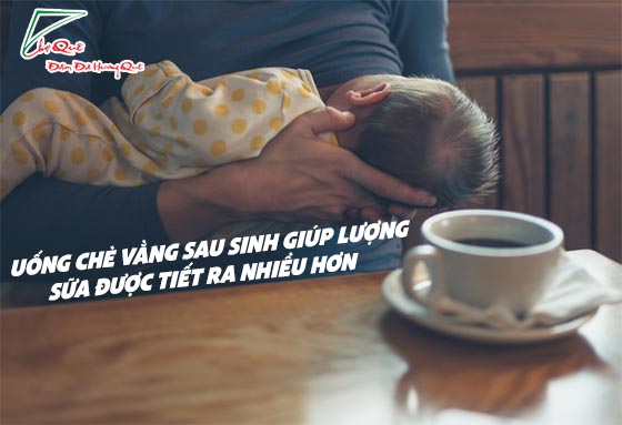 Uống chè vằng bao lâu thì sữa về