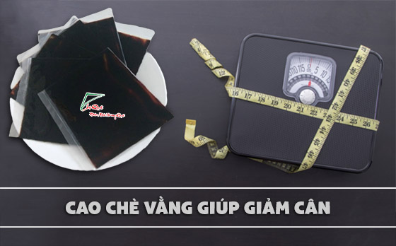 cao chè vằng giảm cân