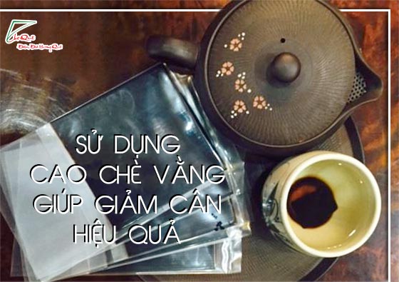 cao chè vằng giảm cân