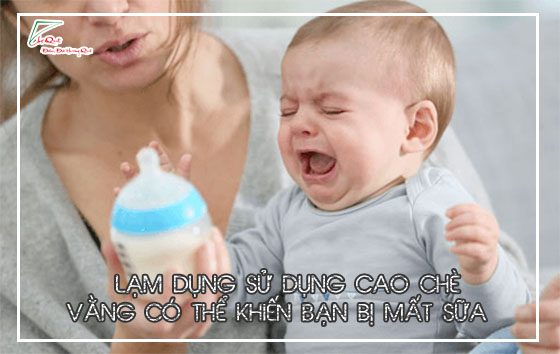 cao chè vằng giảm cân