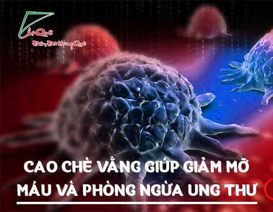 Công dụng của cao chè vằng