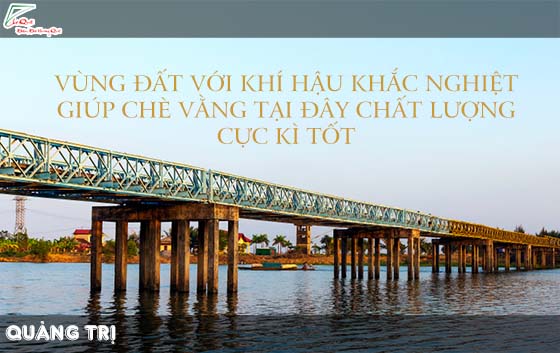 Mua cao chè vằng ở đâu