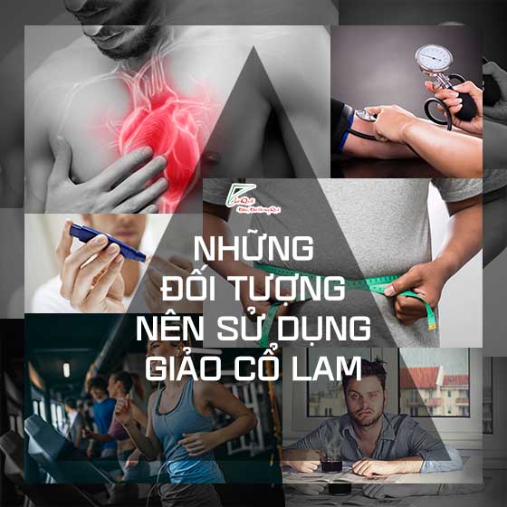 Mua giảo cổ lam tại chợ quê