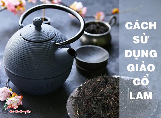 Mua giảo cổ lam tại chợ quê