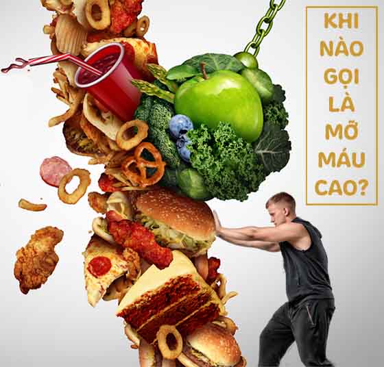 Cây thuốc giảo cổ lam hỗ trợ hạ mỡ máu