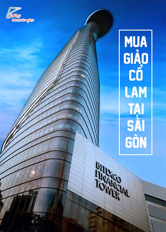 Mua giảo cổ lam tại sài gòn