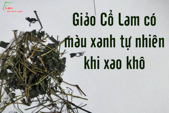 Cách nhận biết Giảo Cổ lam thật giả