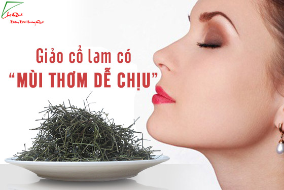 Cách nhận biết Giảo Cổ lam thật giả