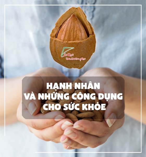 Hạnh nhân và những công dụng đối với sức khỏe