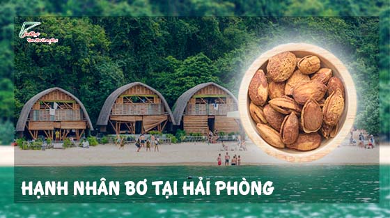 Hạnh nhân rang bơ tại hải phòng