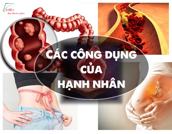 hạnh nhân - hạt dinh dưỡng từ thiên nhiên