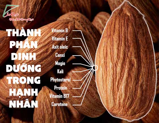 hạnh nhân - hạt dinh dưỡng từ thiên nhiên