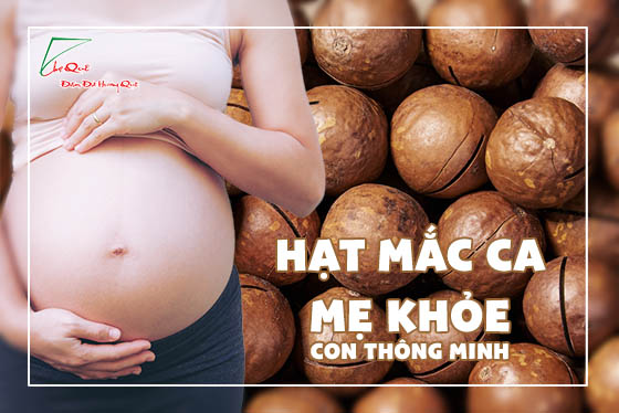 CÔNG DỤNG CỦA HẠT MẮC CA