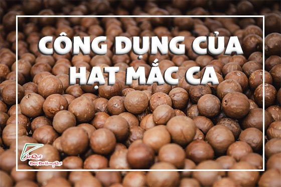 công dụng của hạt mắc ca