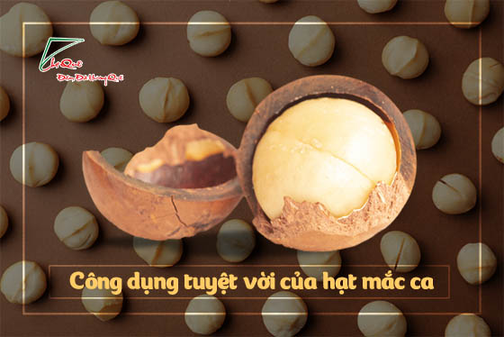 CÔNG DỤNG TUYỆT VỜI CỦA HẠT MẮC CA