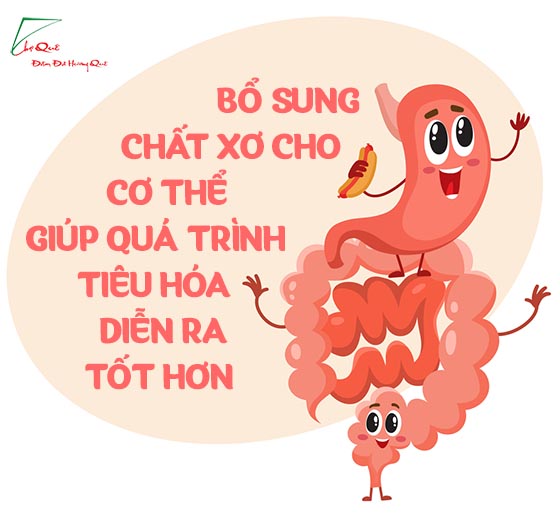 CÔNG DỤNG TUYỆT VỜI CỦA HẠT MẮC CA