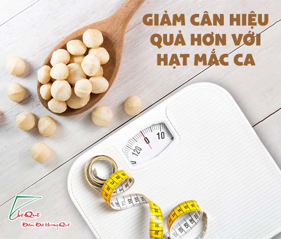 CÔNG DỤNG TUYỆT VỜI CỦA HẠT MẮC CA