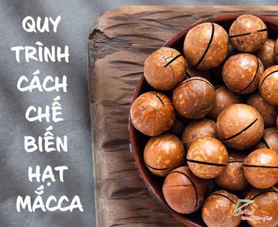 TÌM HIỂU QUY TRÌNH, CÁCH CHẾ BIẾN HẠT MACADAMIA, MẮCCA