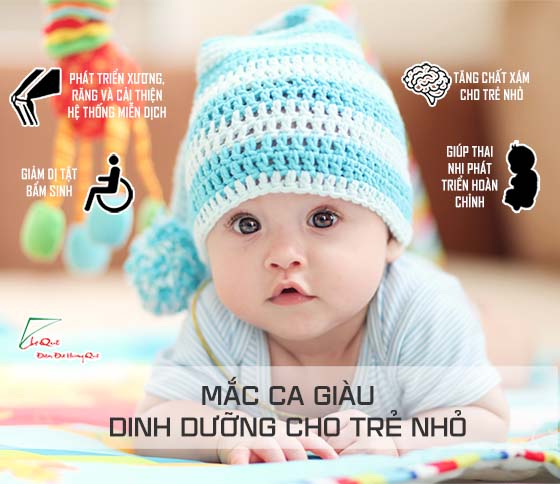 HẠT MẮC CA – BÍ MẬT CỦA CÁC BÀ MẸ CÓ CON THÔNG MINH