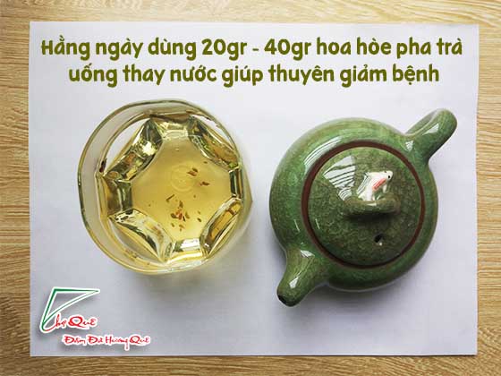 Vì sao hoa hòe lại có tác dụng điều trị bệnh trĩ?