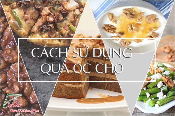 hướng dẫn sử dụng óc chó lâu và an toàn