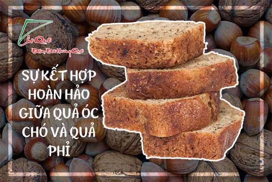 bánh cake quả phỉ và hạt óc chó vô cùng lạ miệng