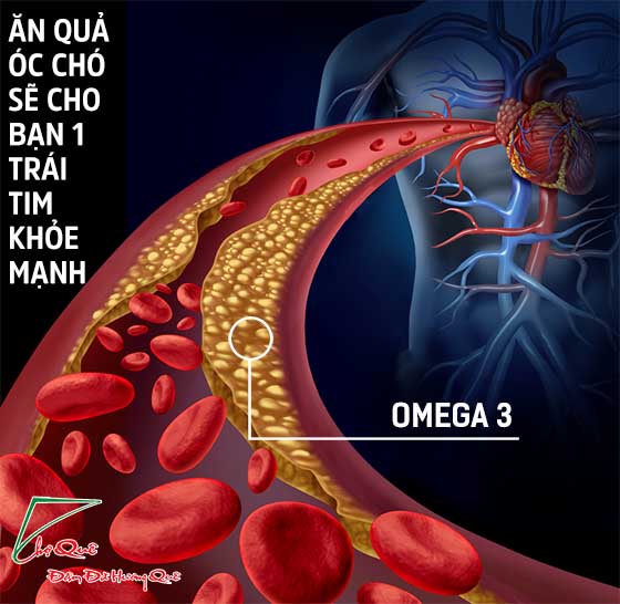 chia sẻ của chị Mai khi ăn quả óc chó