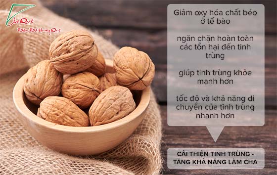 ăn óc chó -  tăng khả năng làm cha