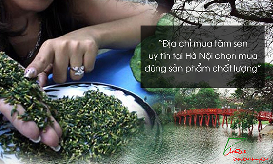 Địa chỉ mua tâm sen uy tín tại Hà Nội