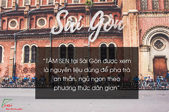 Mua tâm sen tại sài gòn