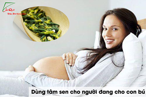 Dùng tâm sen cho người đang cho con bú