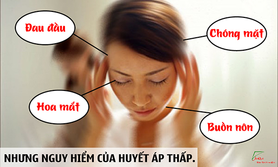 Người bị huyết áp thấp có nên uống tâm sen không?