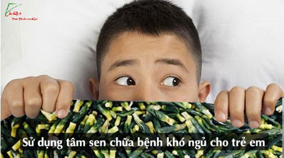 Sử dụng tâm sen chữa bệnh khó ngủ cho trẻ em