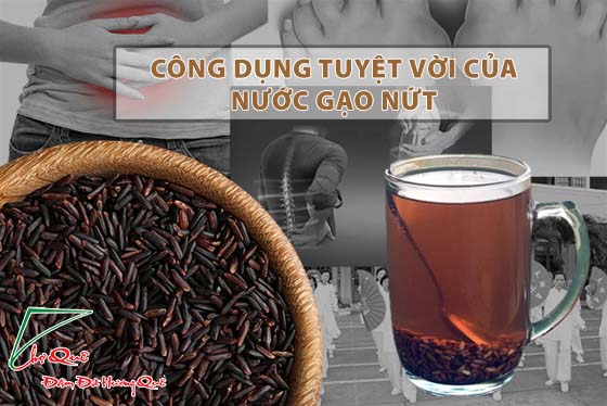 cách làm nước gạo lứt rang đơn giản tại nhà