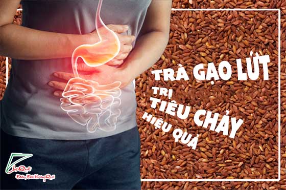 trà gạo lứt trị tiêu chảy hiệu quả