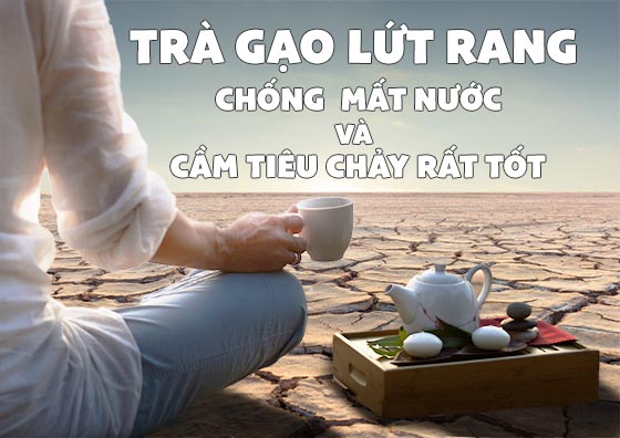 trà gạo lứt trị tiêu chảy hiệu quả